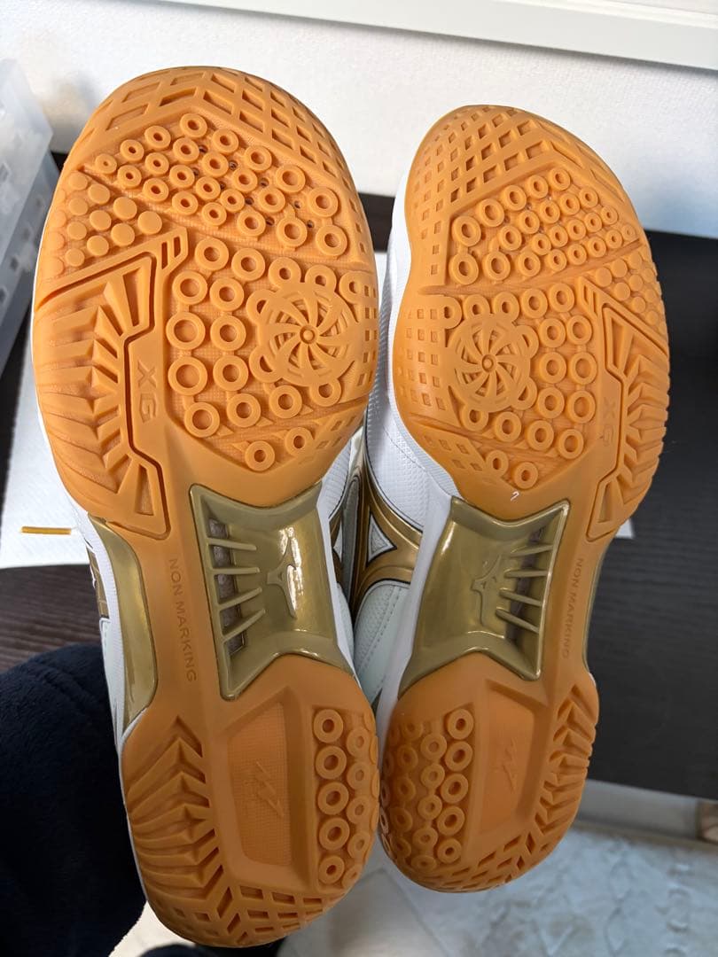 ミズノ ウェーブファングプロ