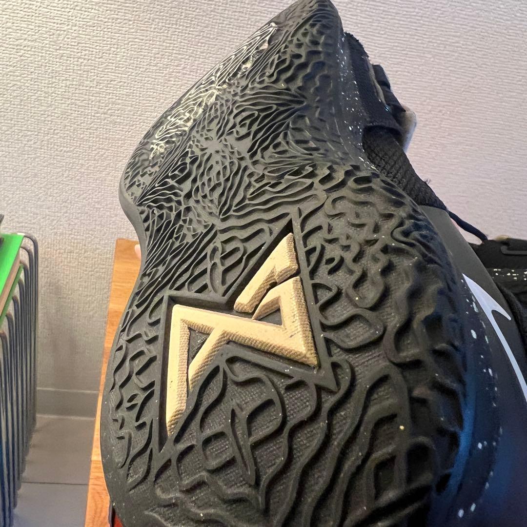 シューズ(男性用) PG2.5 Nike 26.5cm