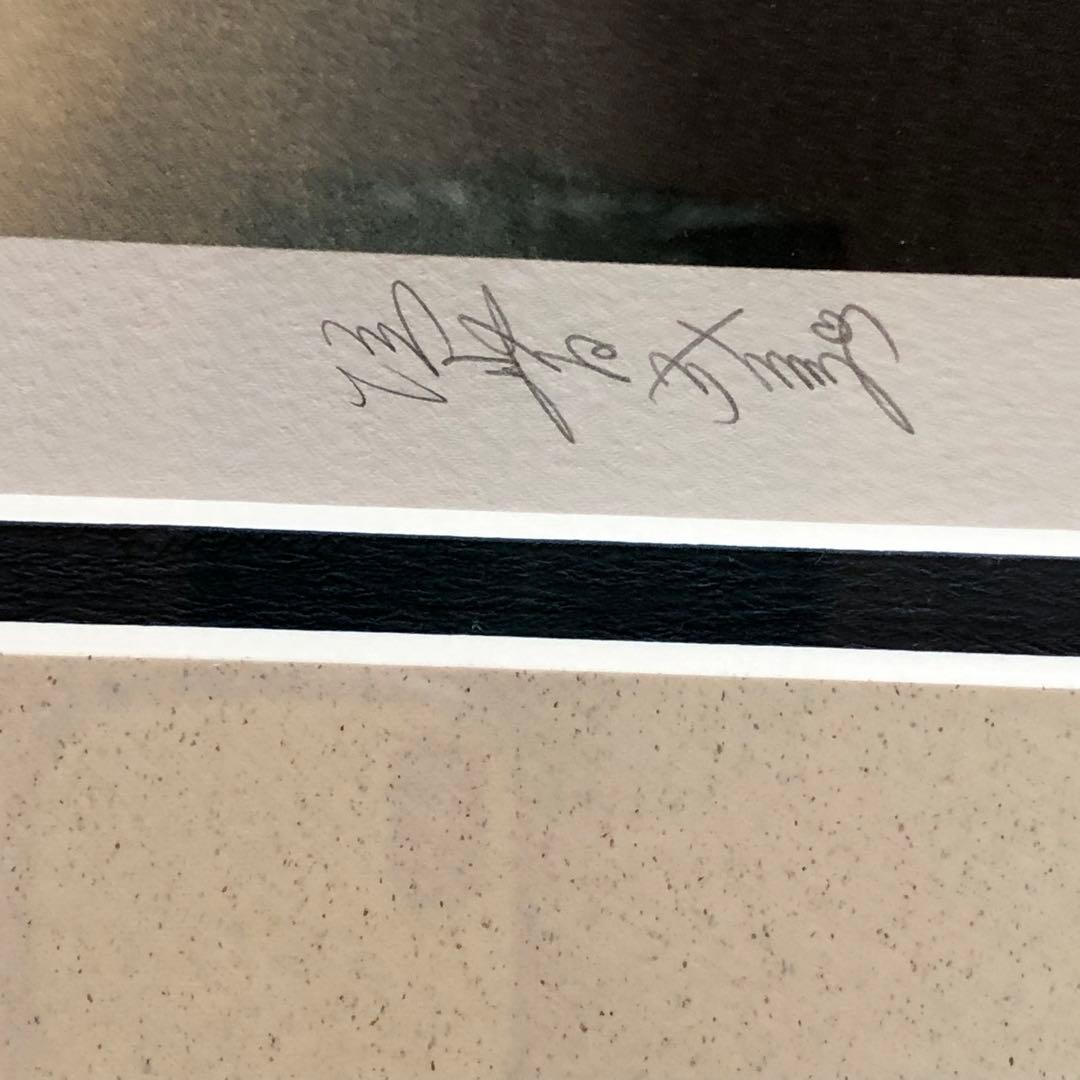 垣野内成美 綾火〜吸血姫美夕〜 リトグラフ 直筆サイン限定150枚 漫画 アニメ