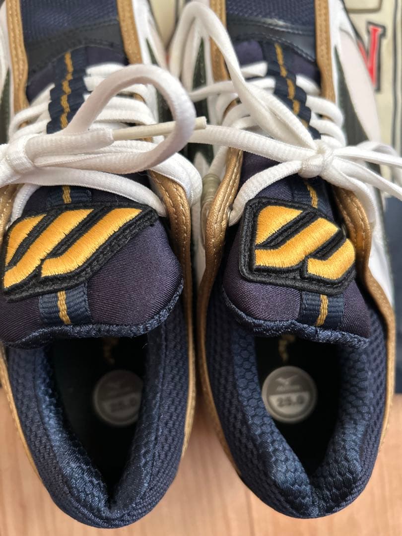 激レア！長嶋茂雄モデル　トレーニングシューズ　野球