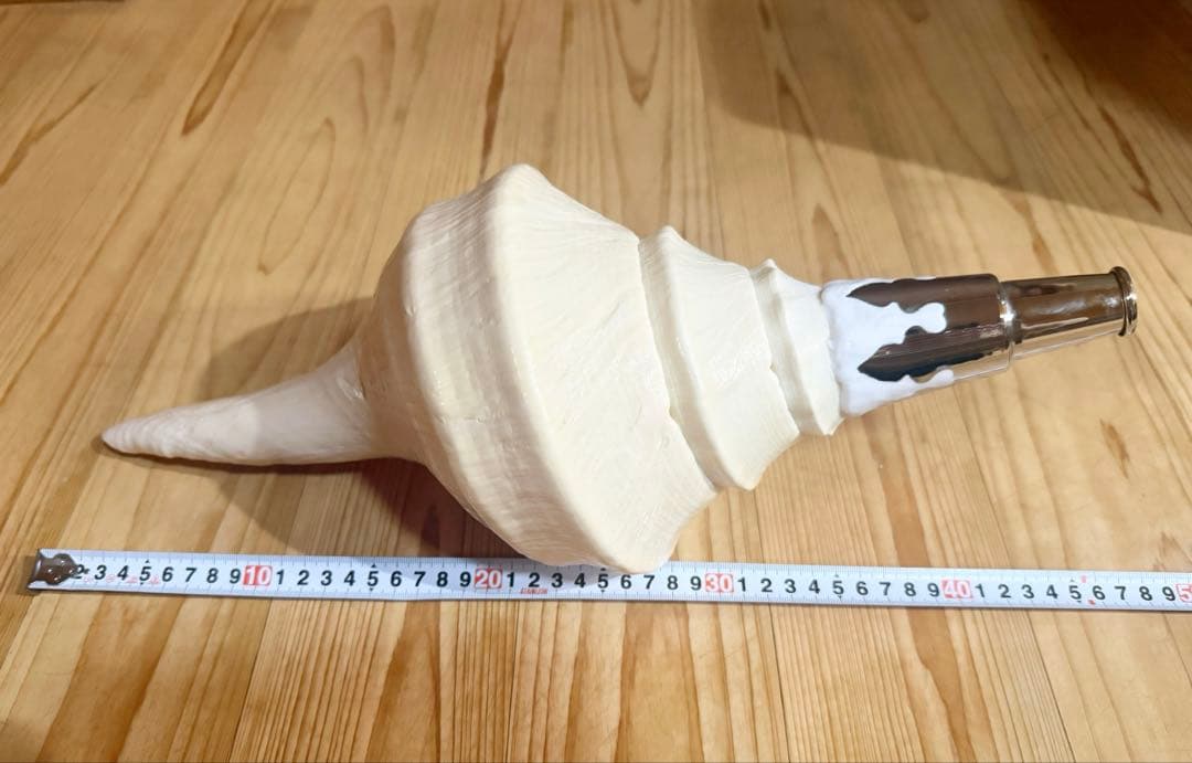 綺麗な特大45㎝アラフラオオニシ 法螺貝　ほら貝　ホラガイ