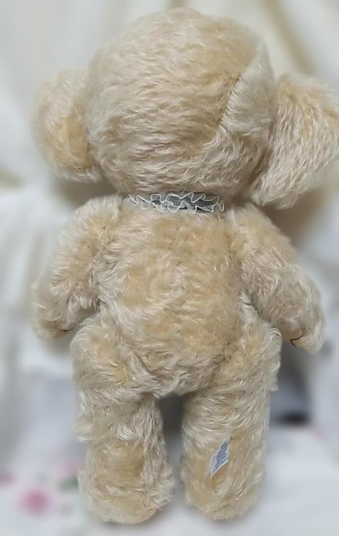 メリーソート×ファーネル　チーキー　15インチ