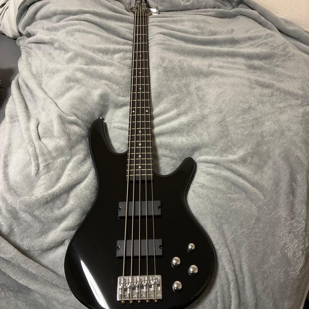雪*。様 Ibanez GIOシリーズ 5弦エレキベース Black GSR20