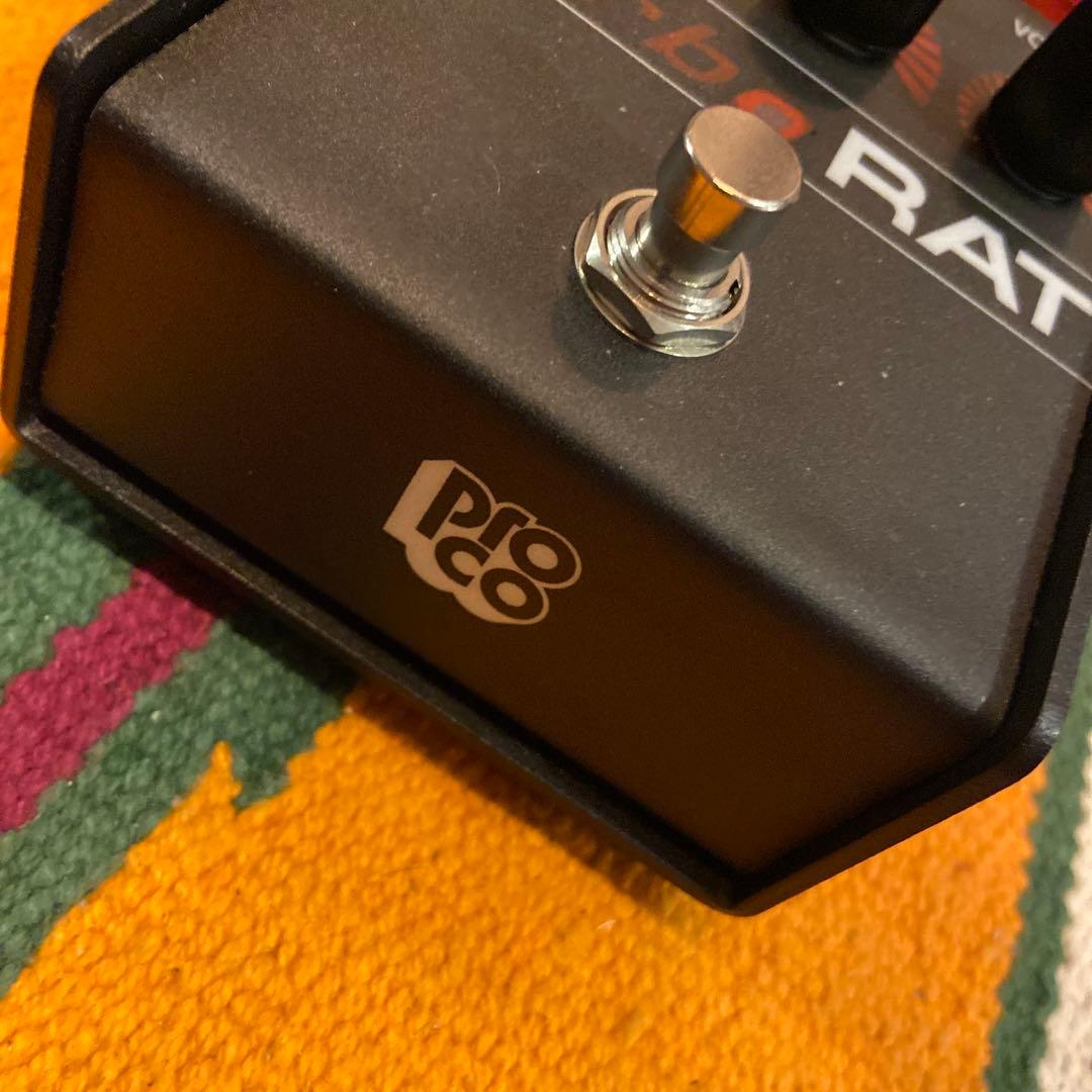 ProCo Turbo RAT 現行品　極美品