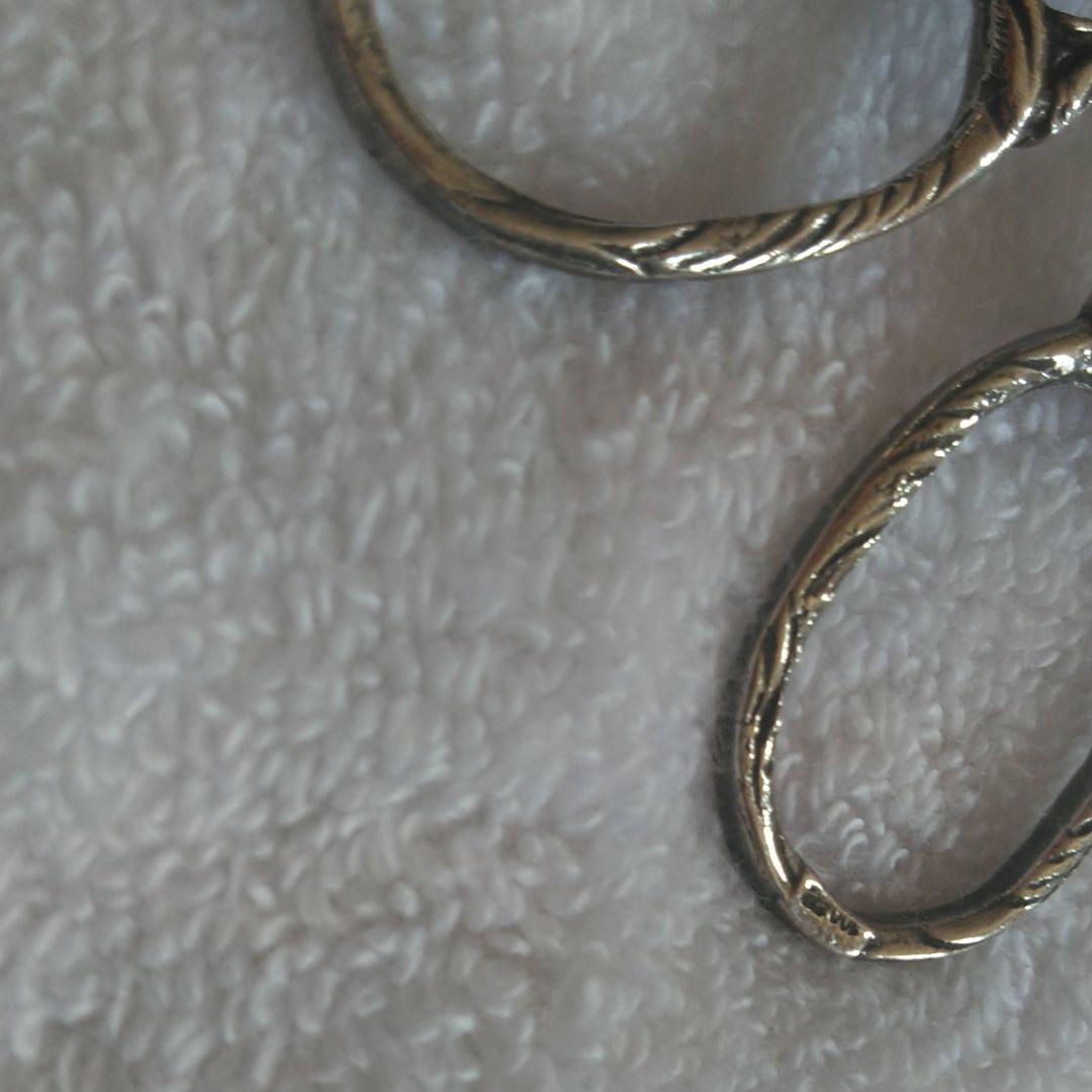 ペストリートング