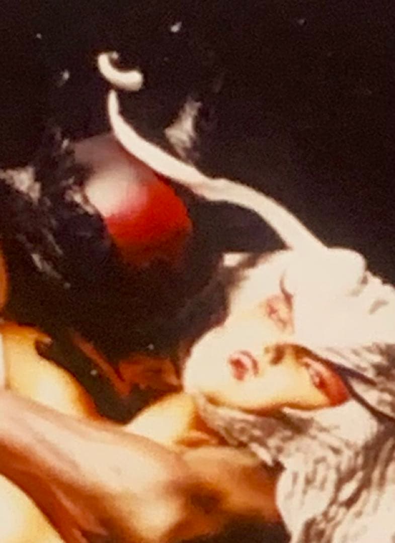 シレーヌ舞(闇) ボークスレジンキット デビルマン