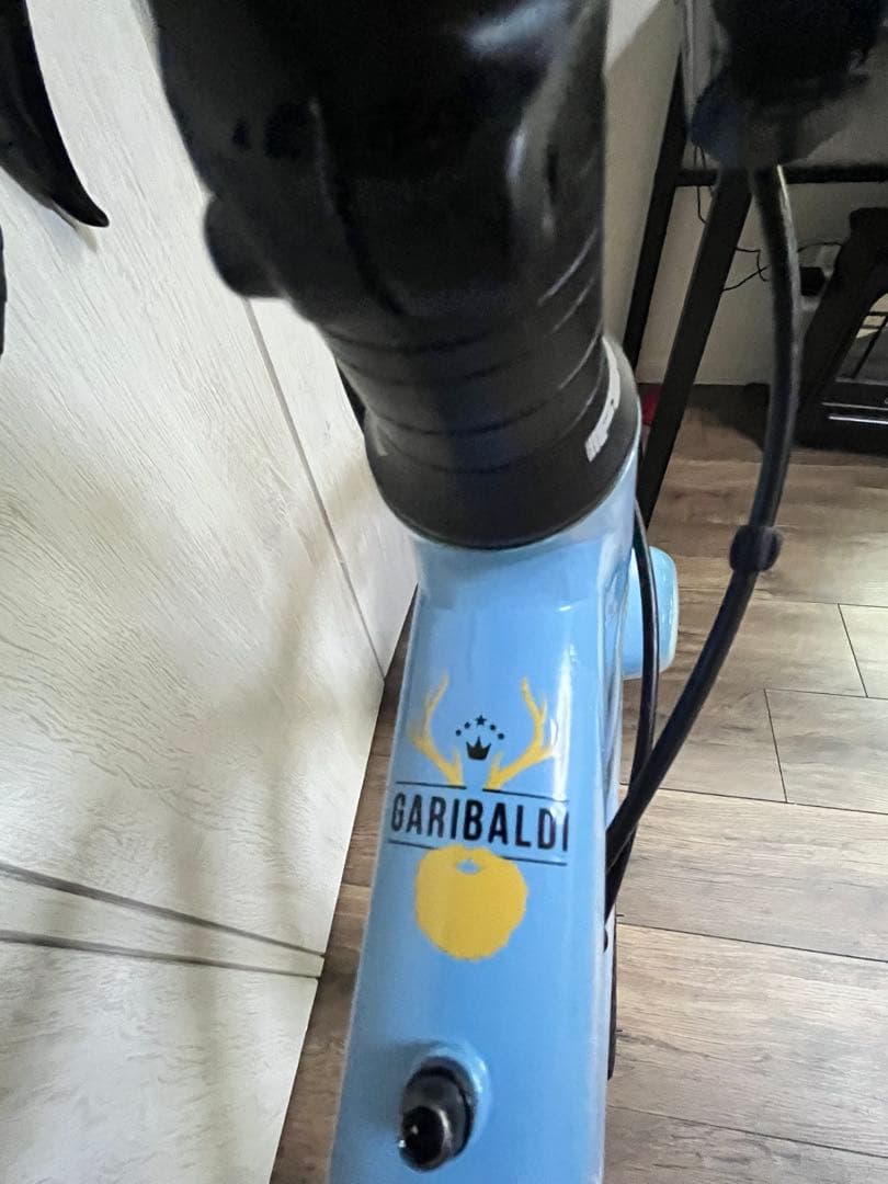 【最終値下げ！】GARNEAU GARIBALDI G2 2020年モデルロード