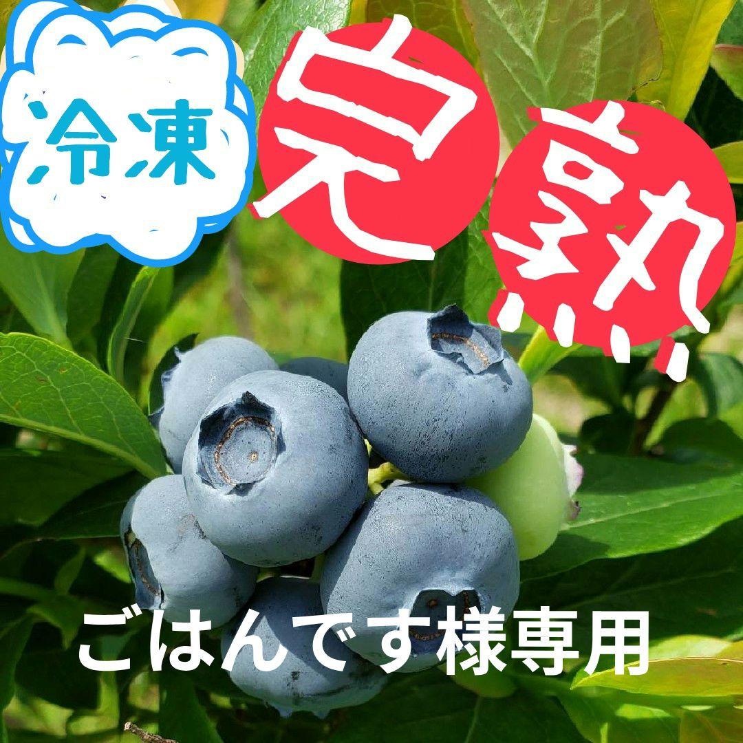 ごはんです　完熟冷凍ブルーベリー【M〜ミックス】3kg