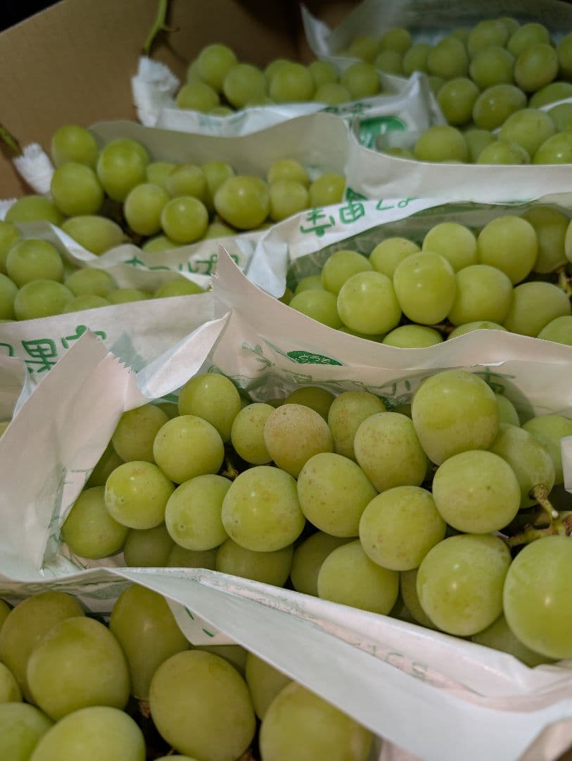 山梨県産ぶどう　シャインマスカット　9房入り箱込み約5.7kg