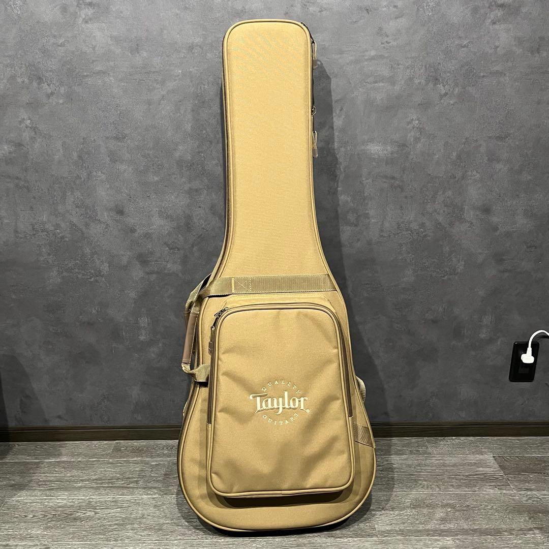 Taylor 114ce ES2 最新モデル