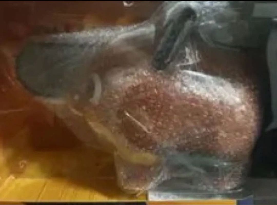 ポチタ 1/1サイズ ソフビフィギュア 未開封