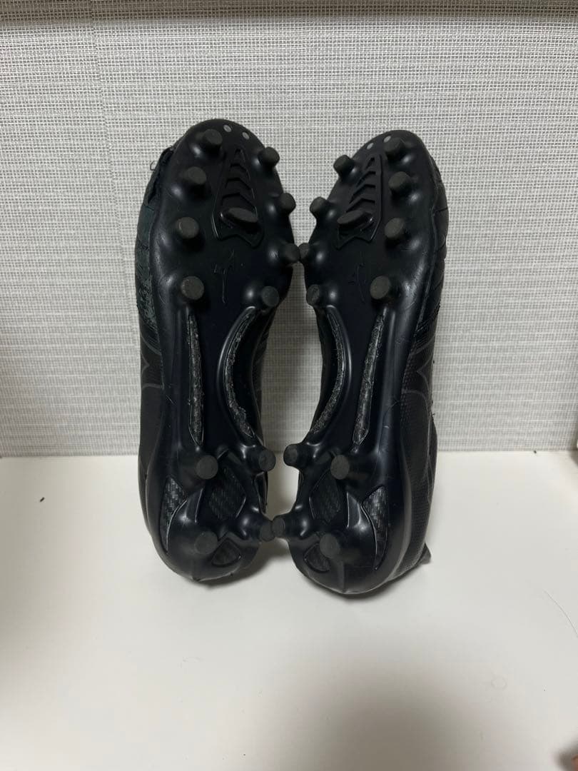 モレリアネオ2Japan