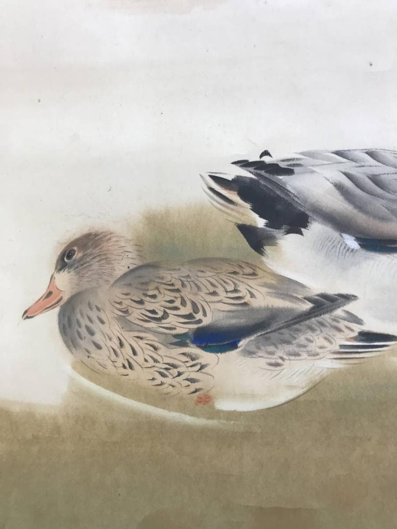 【真作】山内信一/双鴨図/横物/掛軸☆宝船☆AD-567