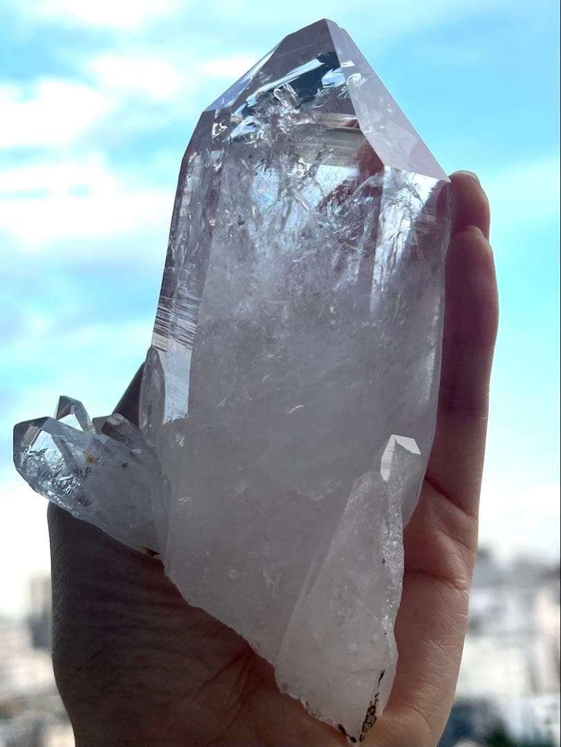 美✨超希少✨AAAAA 特大 コロンビアレムリアン✨my collection✨