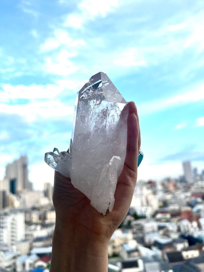 美✨超希少✨AAAAA 特大 コロンビアレムリアン✨my collection✨