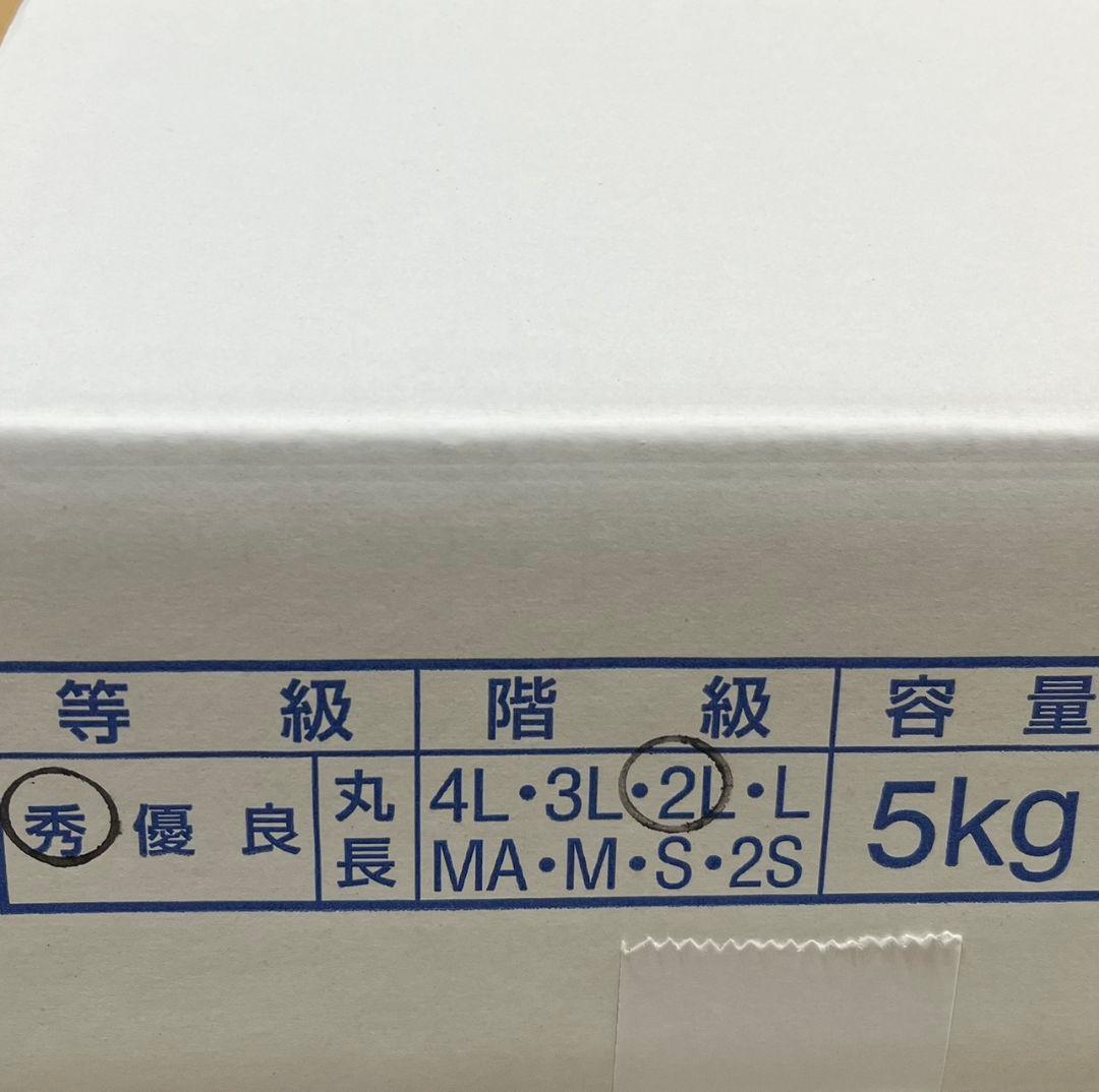 シナモンさん専用