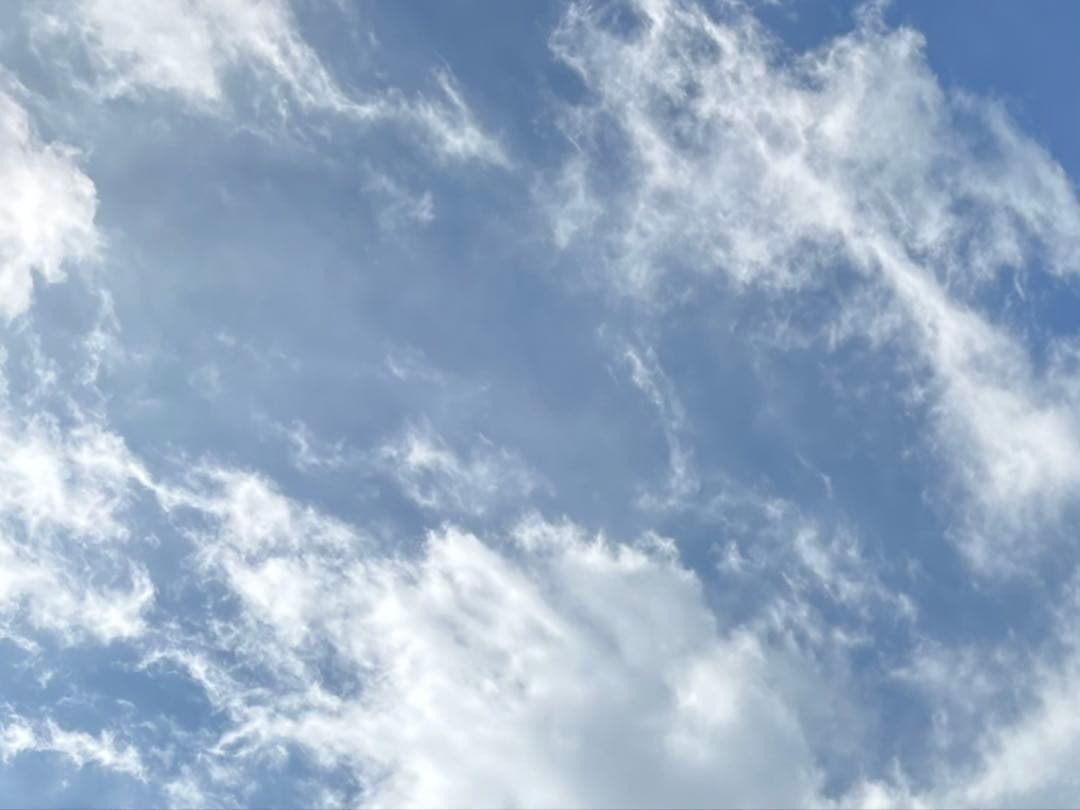 WB 2/9まで。さむわんへるつ ポスター