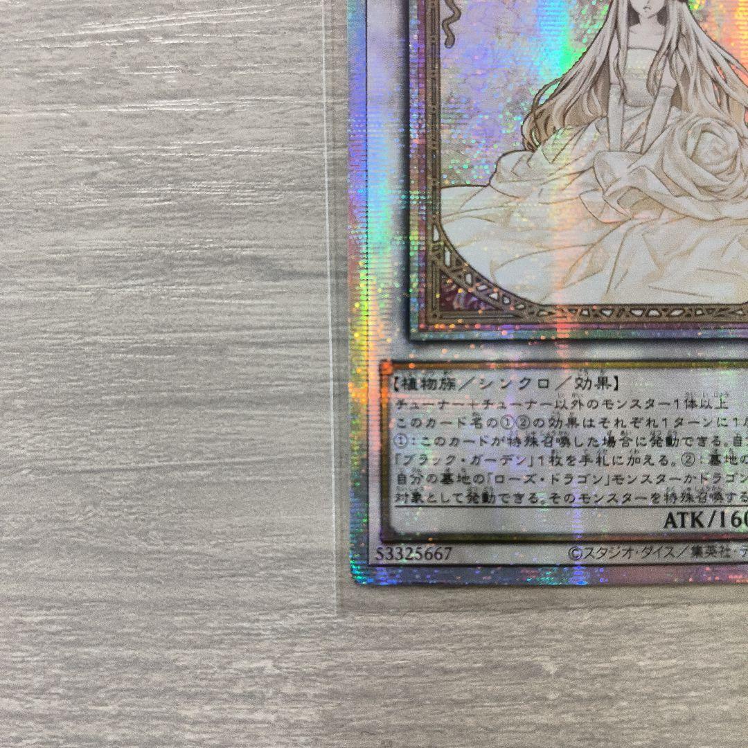 遊戯王 ガーデン・ローズ・メイデン　プリシク アジア版 ＃01