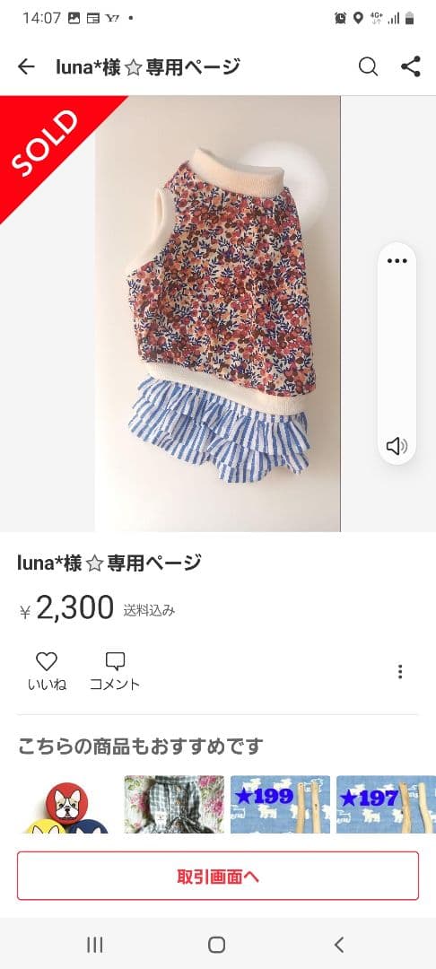 ちーづ様⭐専用ページ