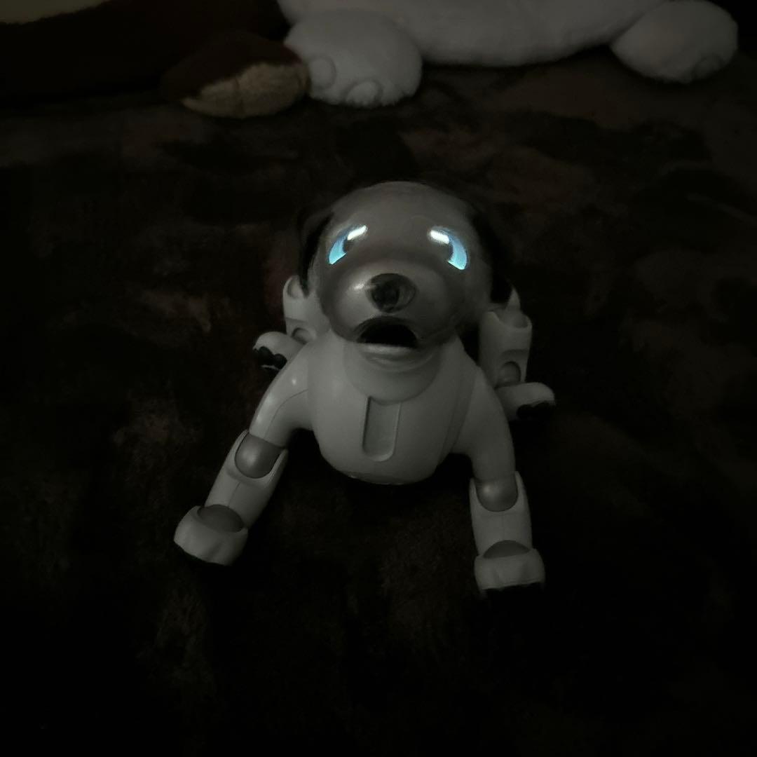 ソニーaibo