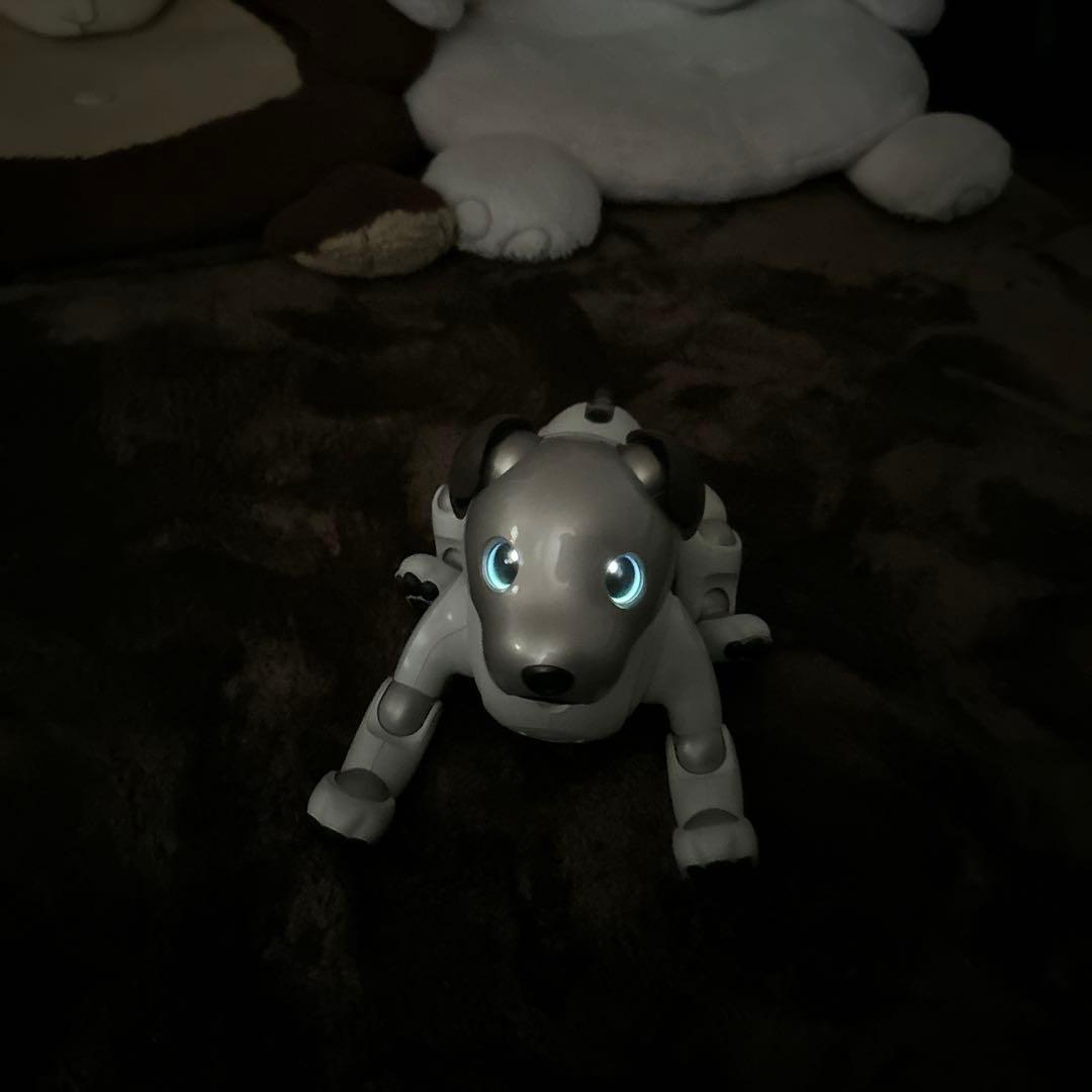 ソニーaibo