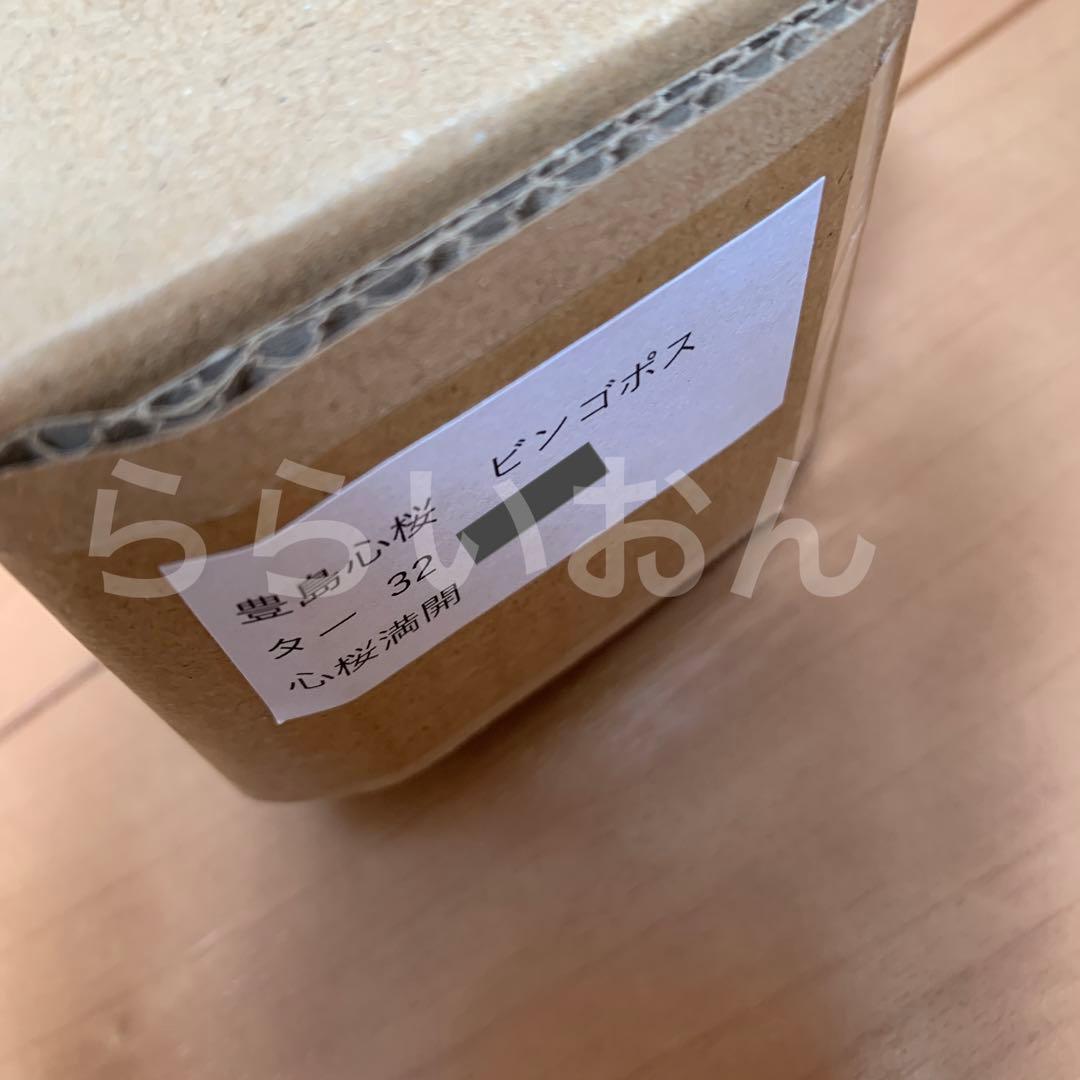 ②激レア　当選品　週刊プレイボーイ　豊島心桜　直筆サイン入り　B2ポスター　特典