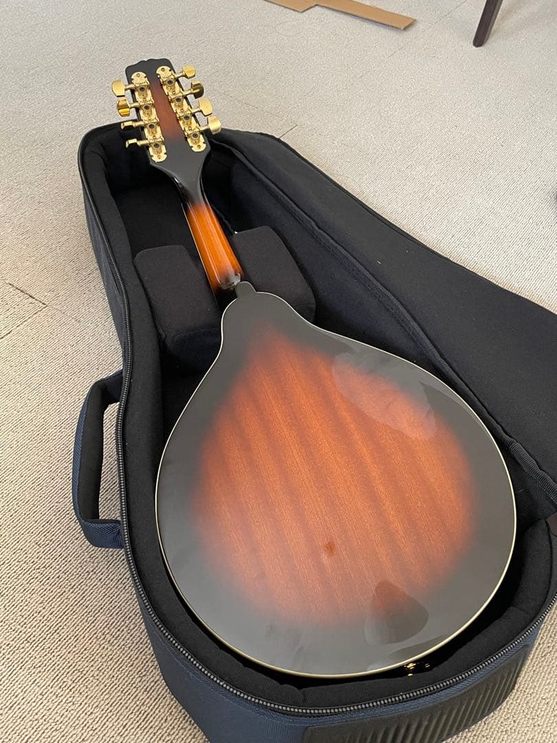 Epiphone MM-30 AS マンドリン ケース付