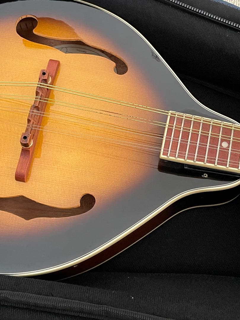 Epiphone MM-30 AS マンドリン ケース付