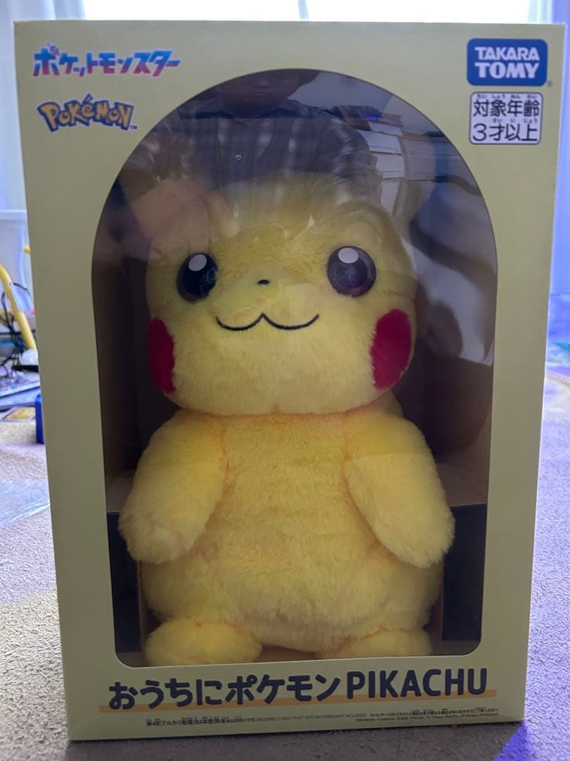 おうちにポケモン　ピカチュウ　ぬいぐるみ