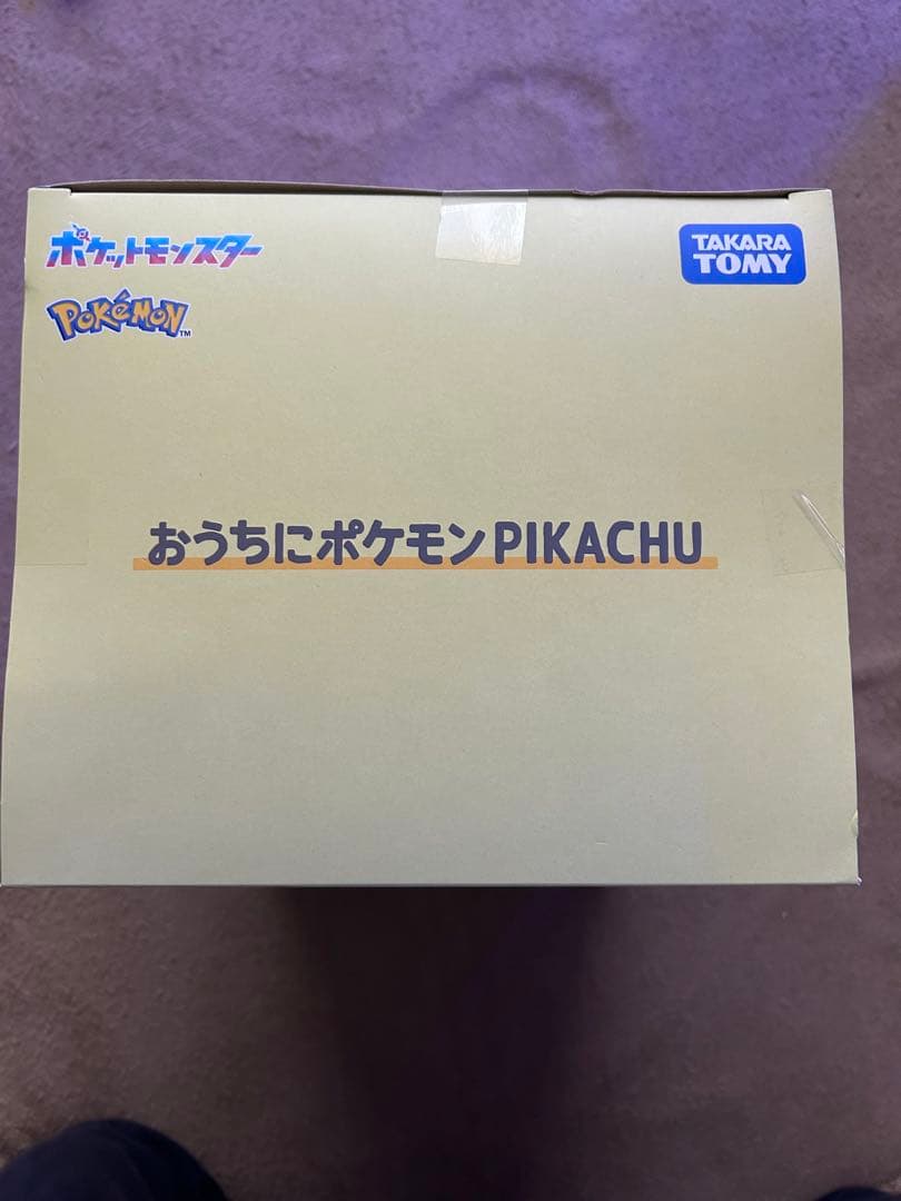 おうちにポケモン　ピカチュウ　ぬいぐるみ