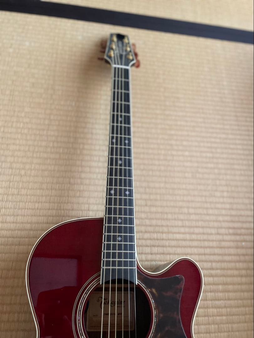 Takamine DMP50S WR アコースティックギター