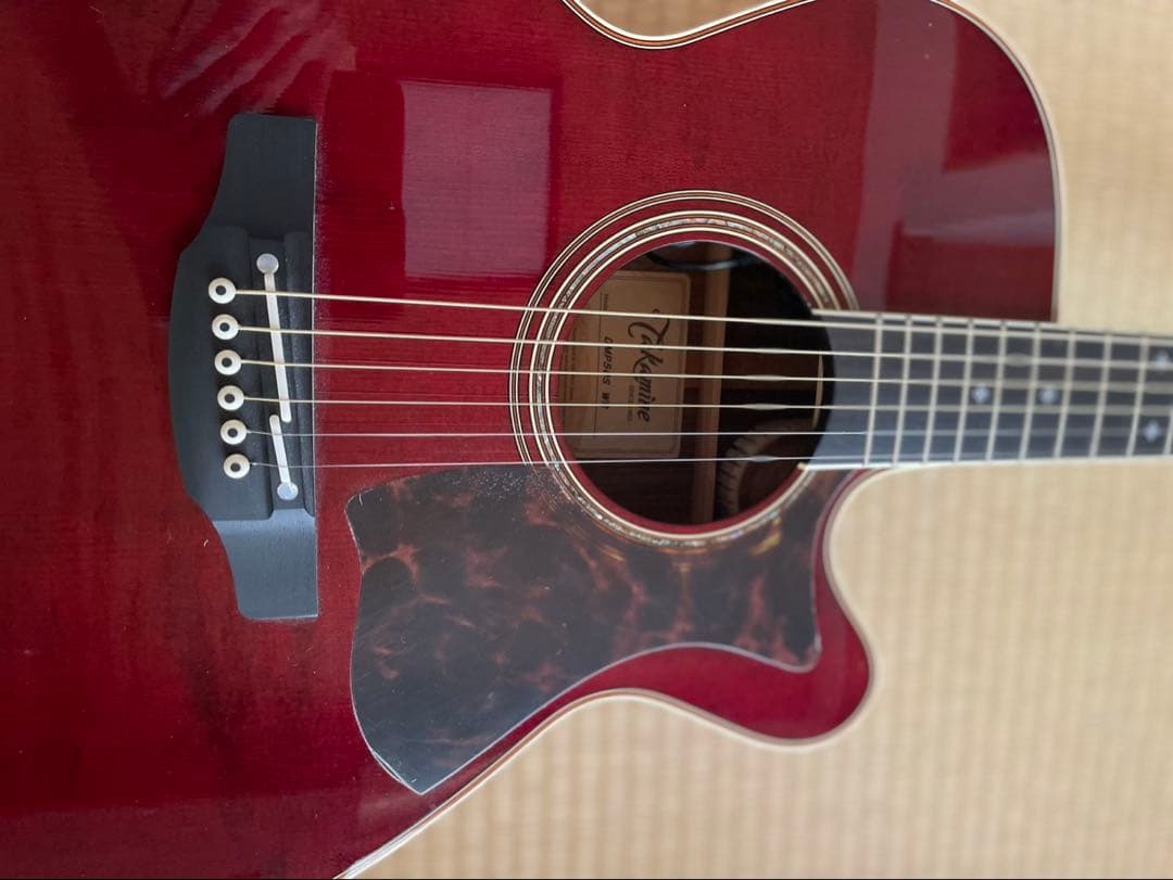 Takamine DMP50S WR アコースティックギター