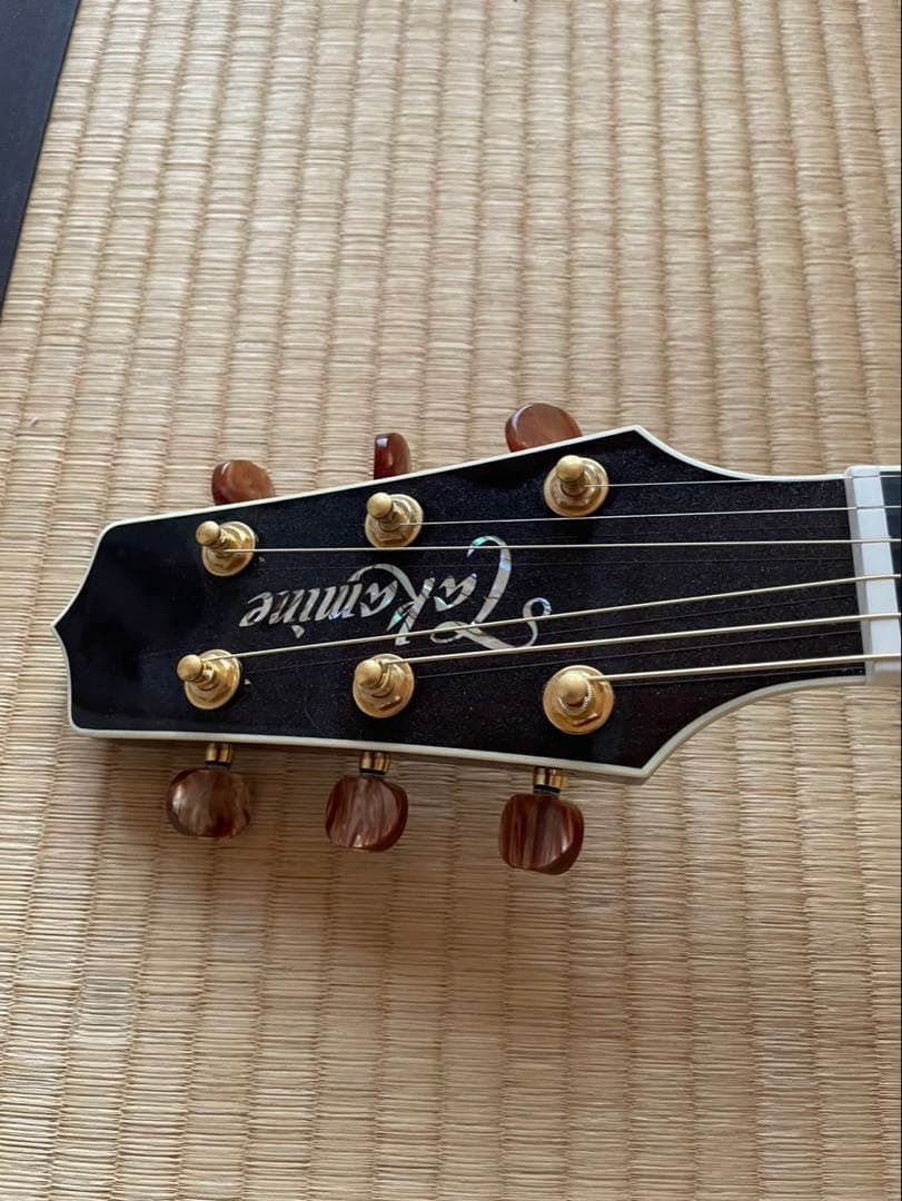Takamine DMP50S WR アコースティックギター