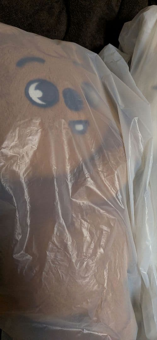 StrayKids　skzoo PLUSH BAG