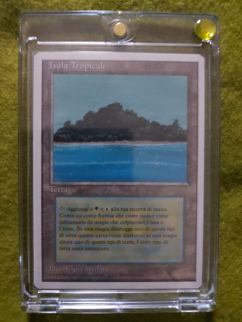 新品 MTG Tropical トロピカルアイランド イタリア語版