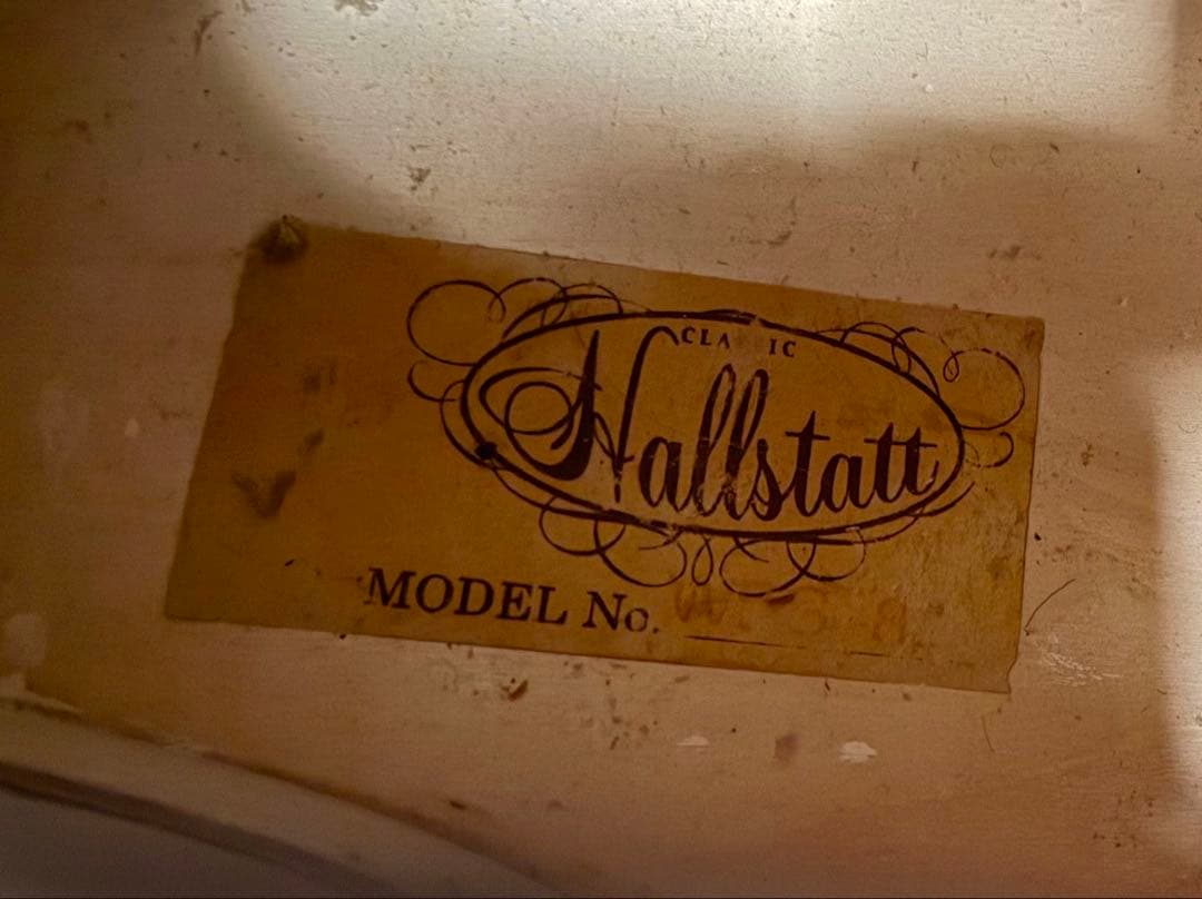 ハルシュタットコントラバスWBS-800ケース付き