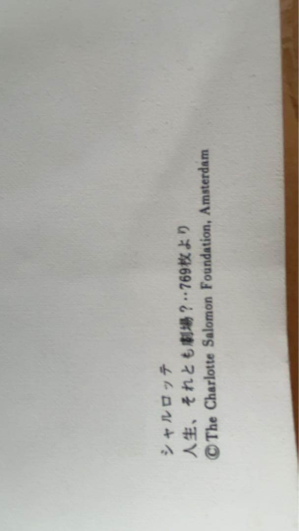 シャルロッテ・サロモン（Charlotte Salomon）