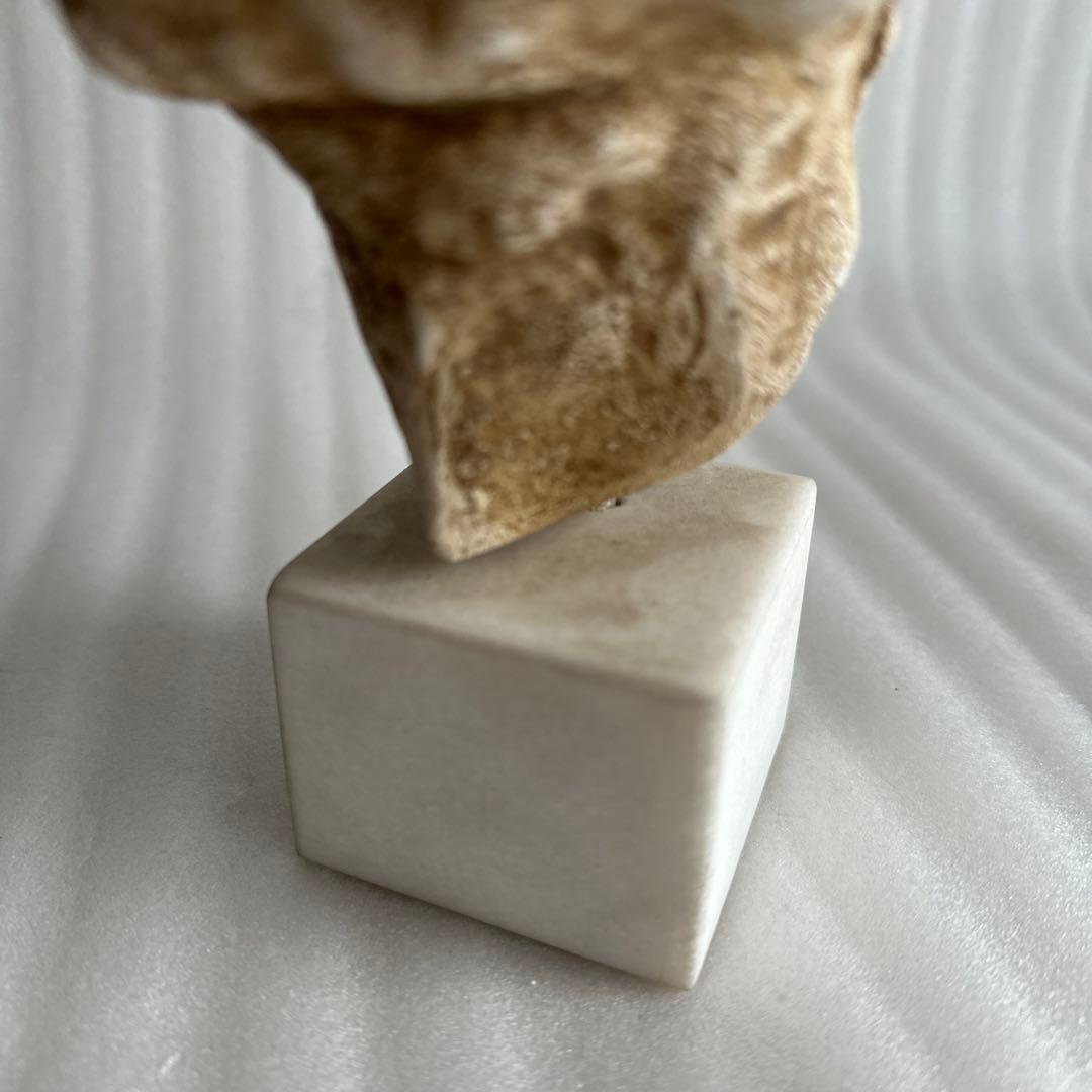 ギリシャ彫刻 石膏像 首像 古代 置物