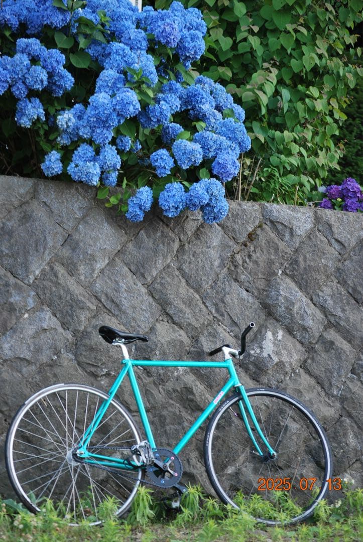 FUJI racerピストバイク　フレームセット