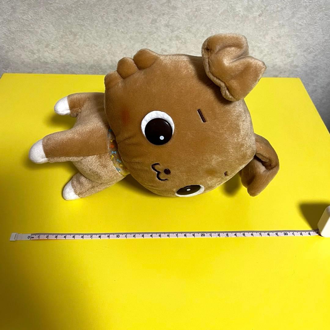 【激レア】サンリオ　ちびまる　豆柴　ぬいぐるみ　首輪付き　美品　希少　タグ付