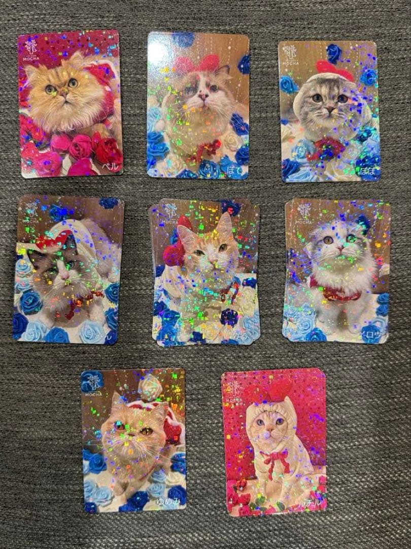 【バラ売り可】にゃんずトレカ松本店 2025