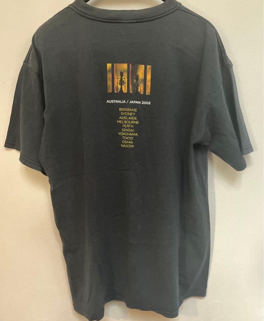 ヴィンテージ Pearl Jam Riot Act ツアーTシャツ 2003