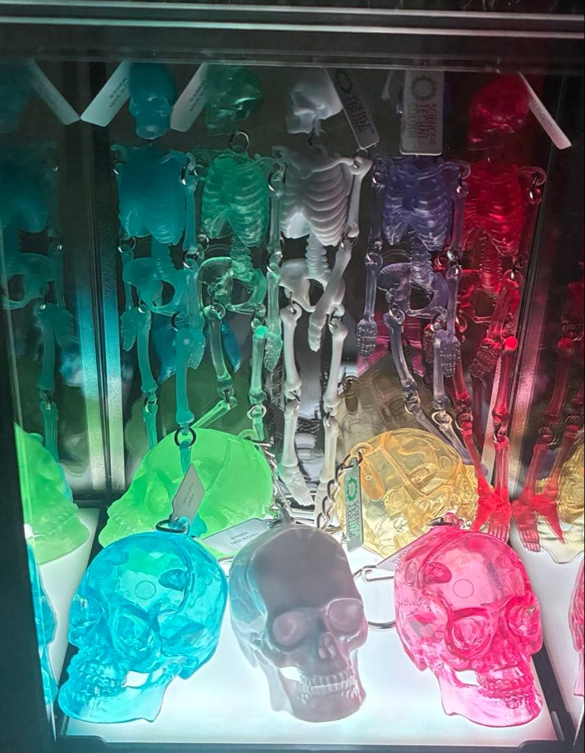 サイエンステクニカラー スケルトン　スケルトンカラー［全10種（フルコンプ)]