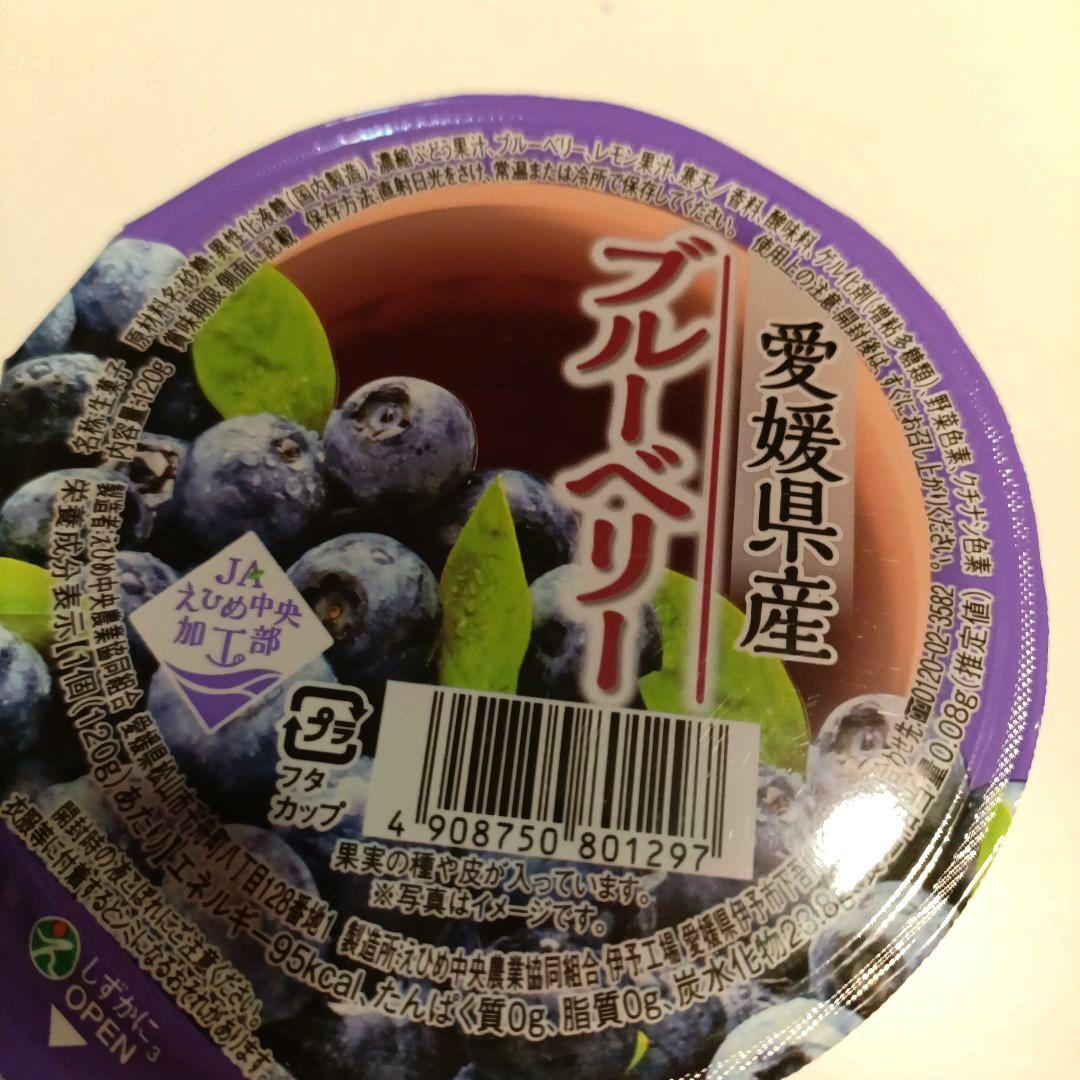 えひめ中央農業協同組合 愛媛県産 果肉入り柑橘ゼリー8点