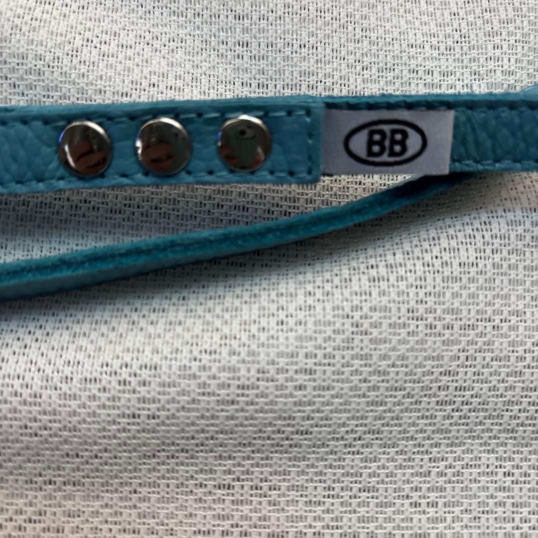 美品バディーベルト&レザーリードセット