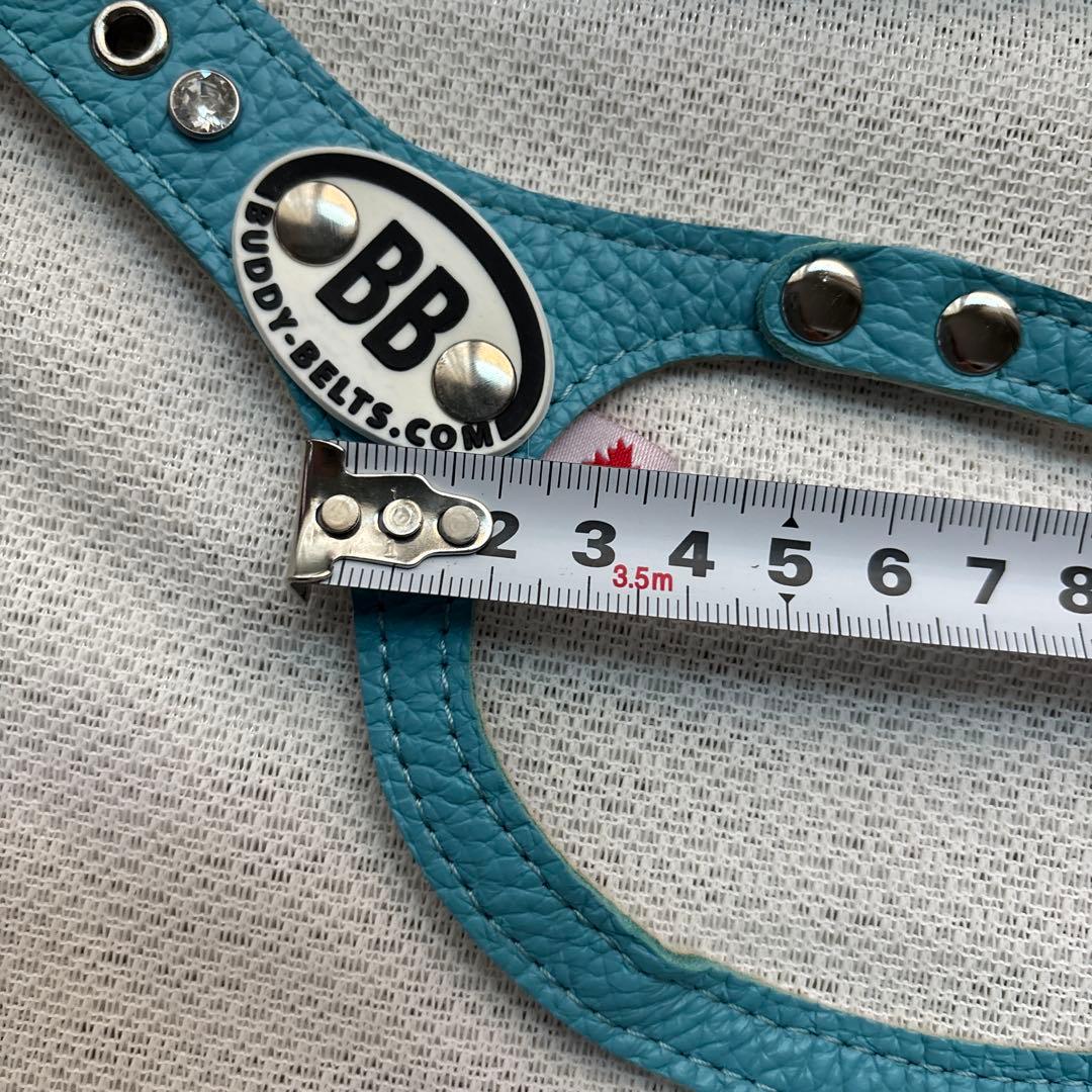 美品バディーベルト&レザーリードセット