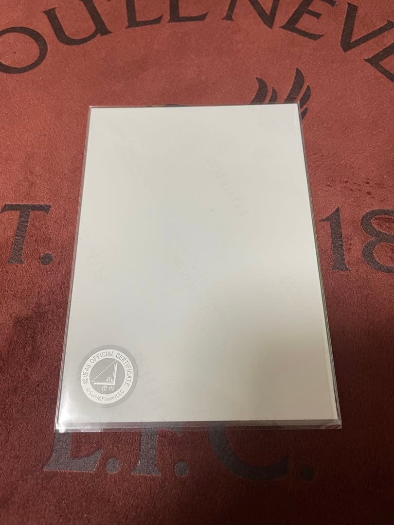 櫻坂46 生写真 2024年 クリスマス サンタ衣装 向井純葉 直筆 サイン