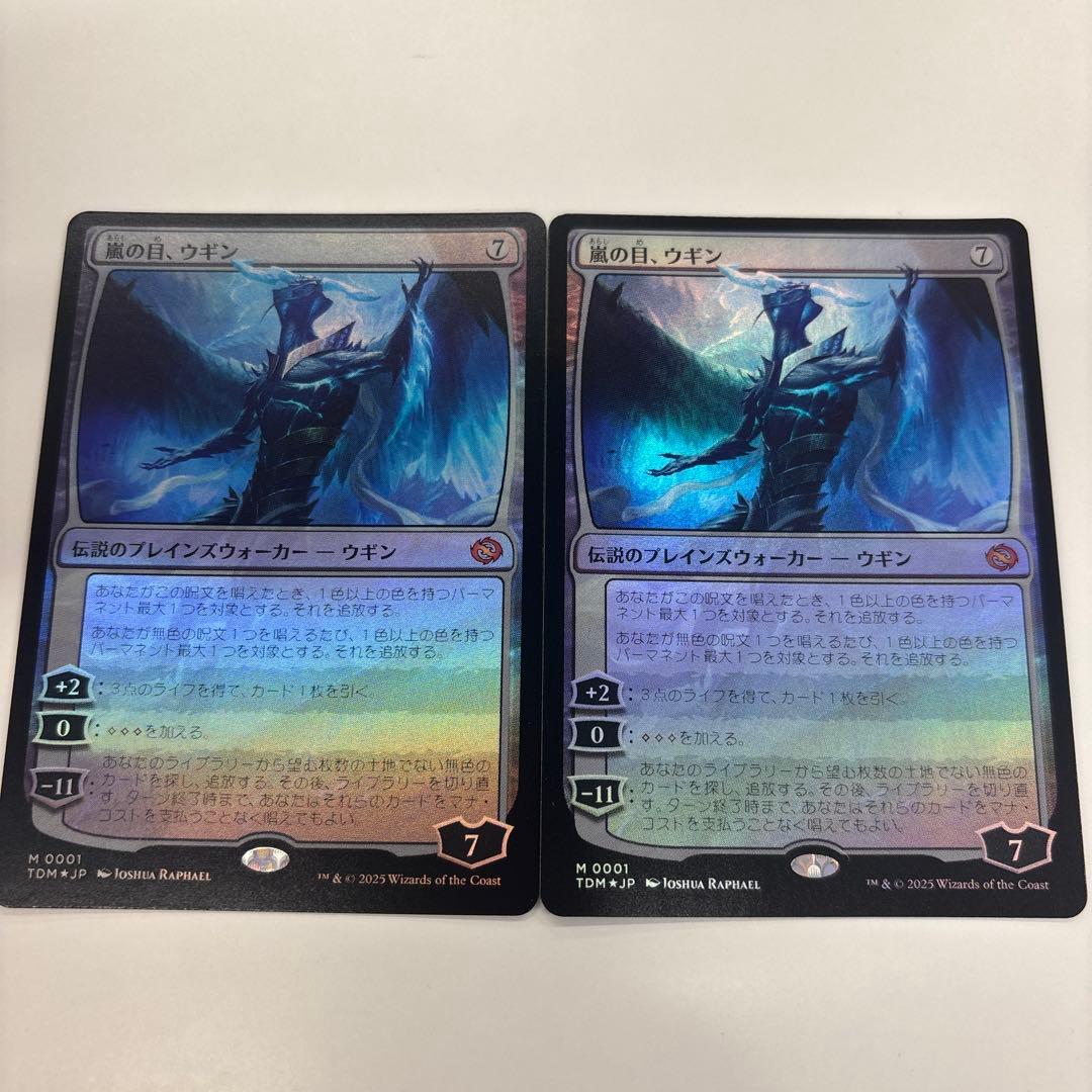 嵐の目、ウギン　foilホイル　2枚