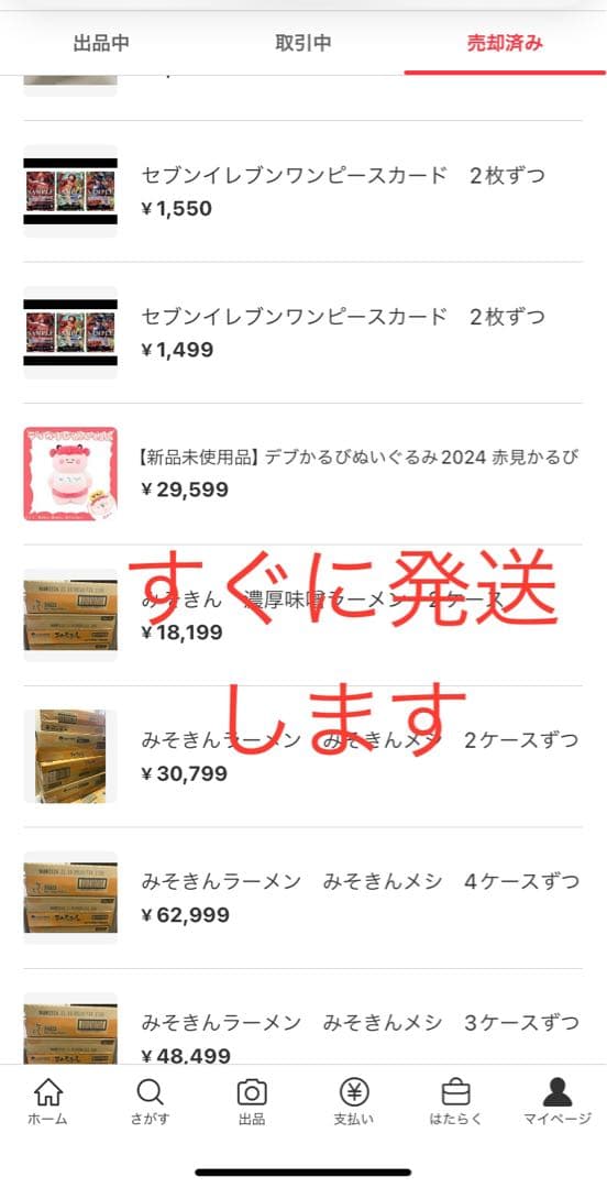 【新品未使用品】デブかるびぬいぐるみ2024 赤見かるび　1個