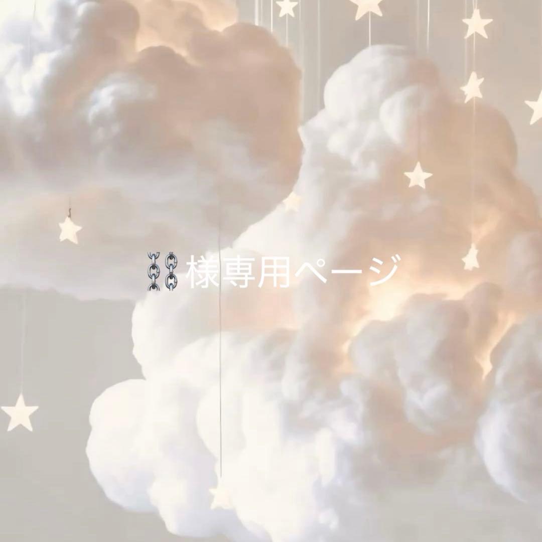 専用ページ(`⊗ω◓´)